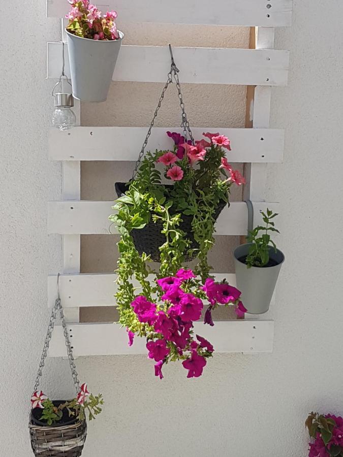 מאקרסקה Apartment Mirjana מראה חיצוני תמונה